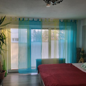 1 Zimmer Appartement Friedensstraße 9